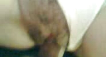 నికోల్ నాష్