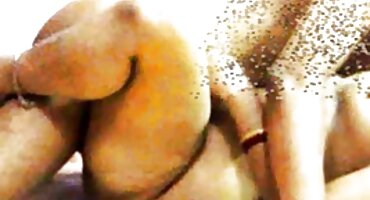 ఒక గాడిద లో