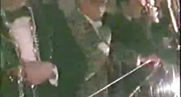 లెక్సీ లేయో