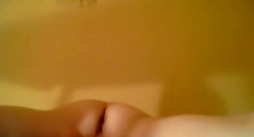 అరేనా ఫాక్స్