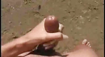 అలెక్సిస్ ఫాక్స్