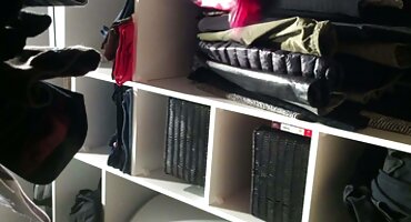 పురుషాంగము వంటి పరికరము